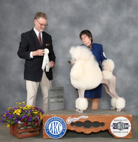 Mason City Kennel club Jade got 4th place in the Ownerhandled Group
